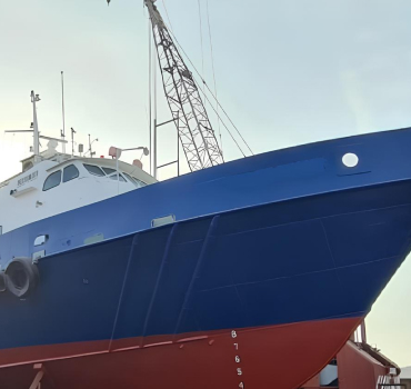  JAC Bravo Image 